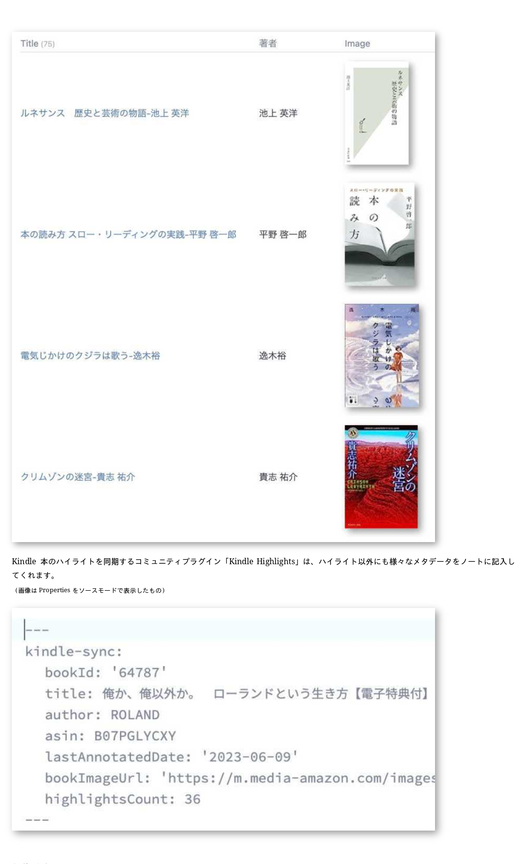 obsidian_jp-145
