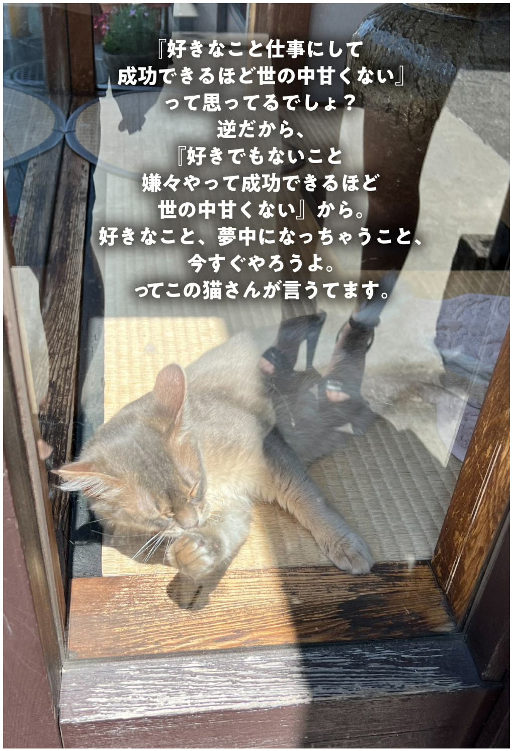 Ryoushi_100