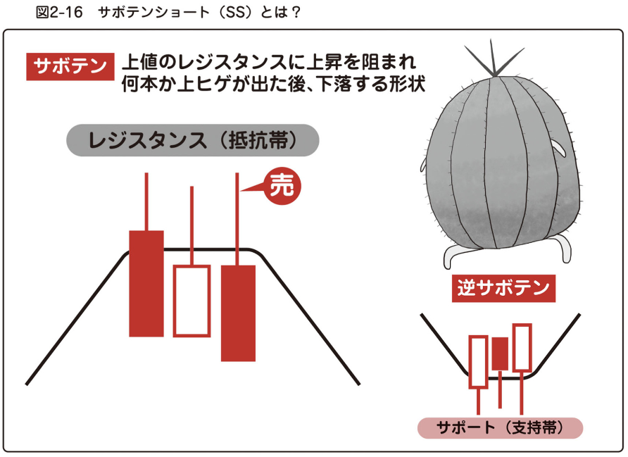 サボテンショート（SS）とは？
